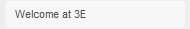 Welcome at 3E
